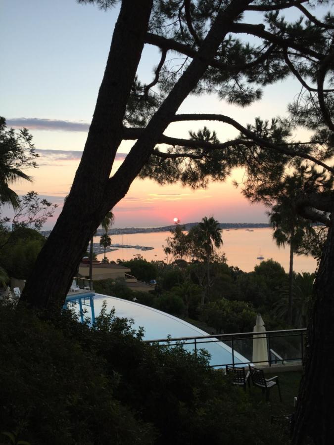 Apartment Cannes Eden De Luxe Piscine Tennis
